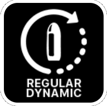 Regular Dynamic